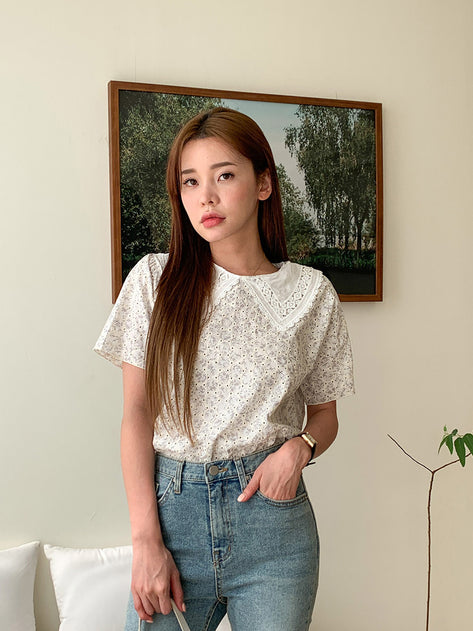 Fanil color embroidery punching pattern short sleeve blouse